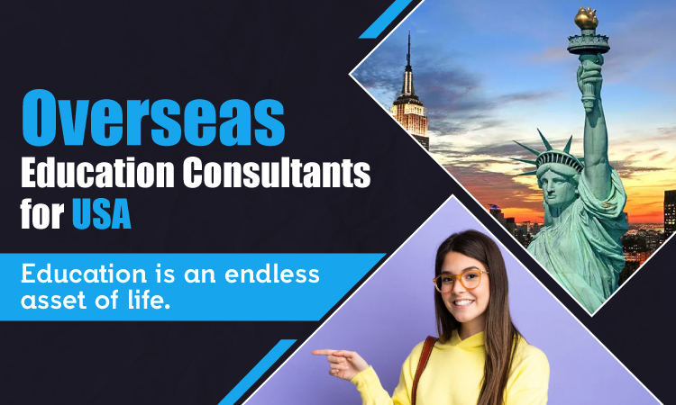 overseas education consultants