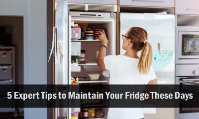 5 Expert Tips to Maintain Your Fridge These Days - Electrician Services