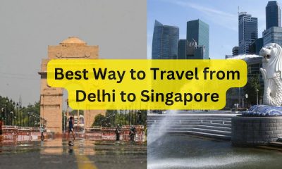 Best Way to Travel from Delhi to Singapore