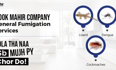 Tips for booking Fumigation Services for Pest Control