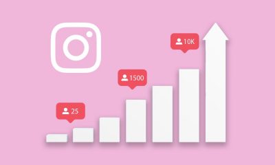 Steps To Gain More Instagram Followers Organically