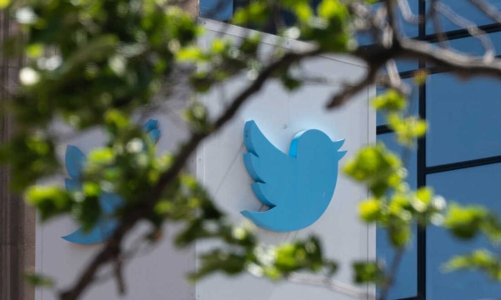 Why Twitter Services Are Taking Over The Social Media World